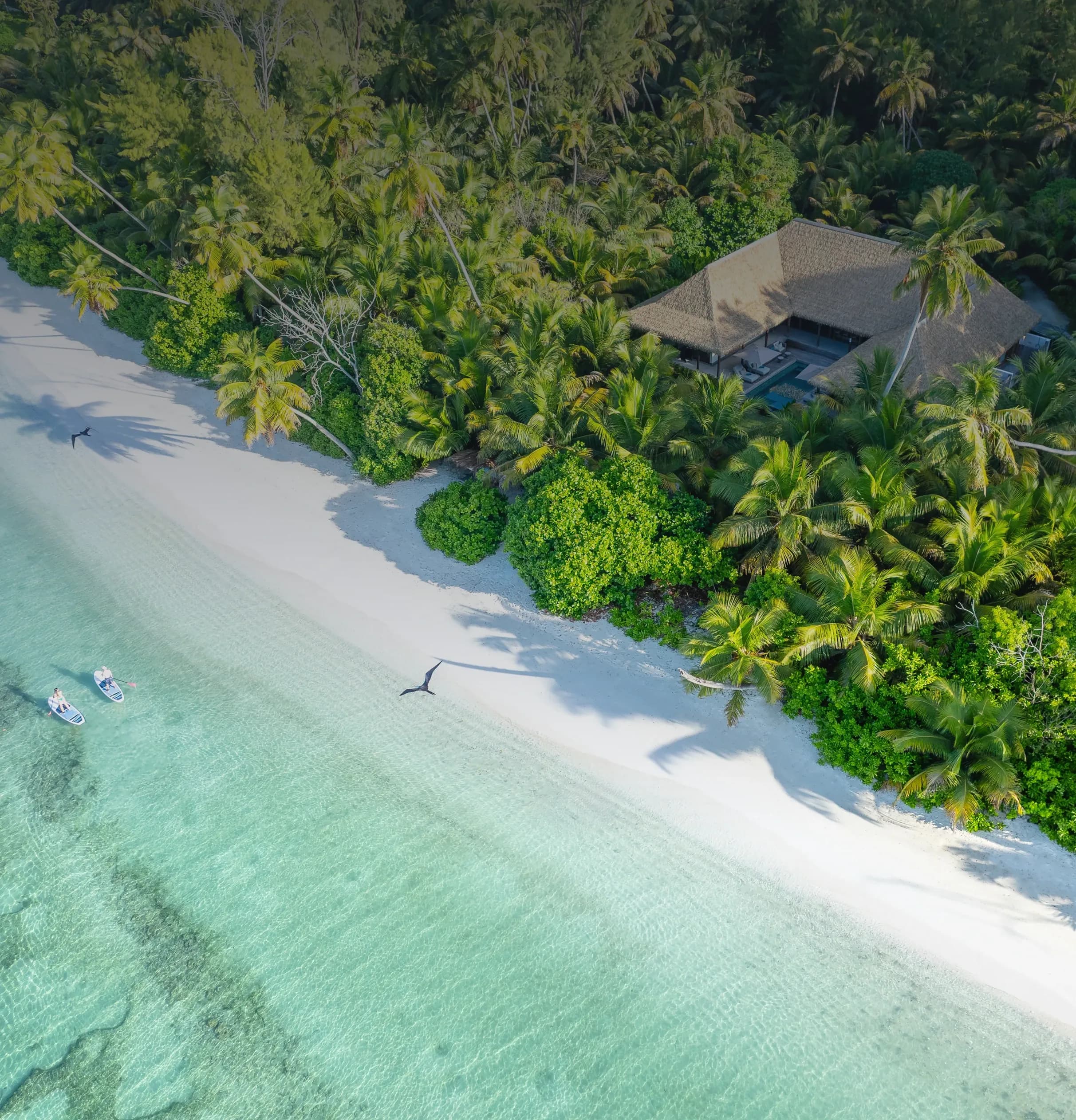blue safari seychelles