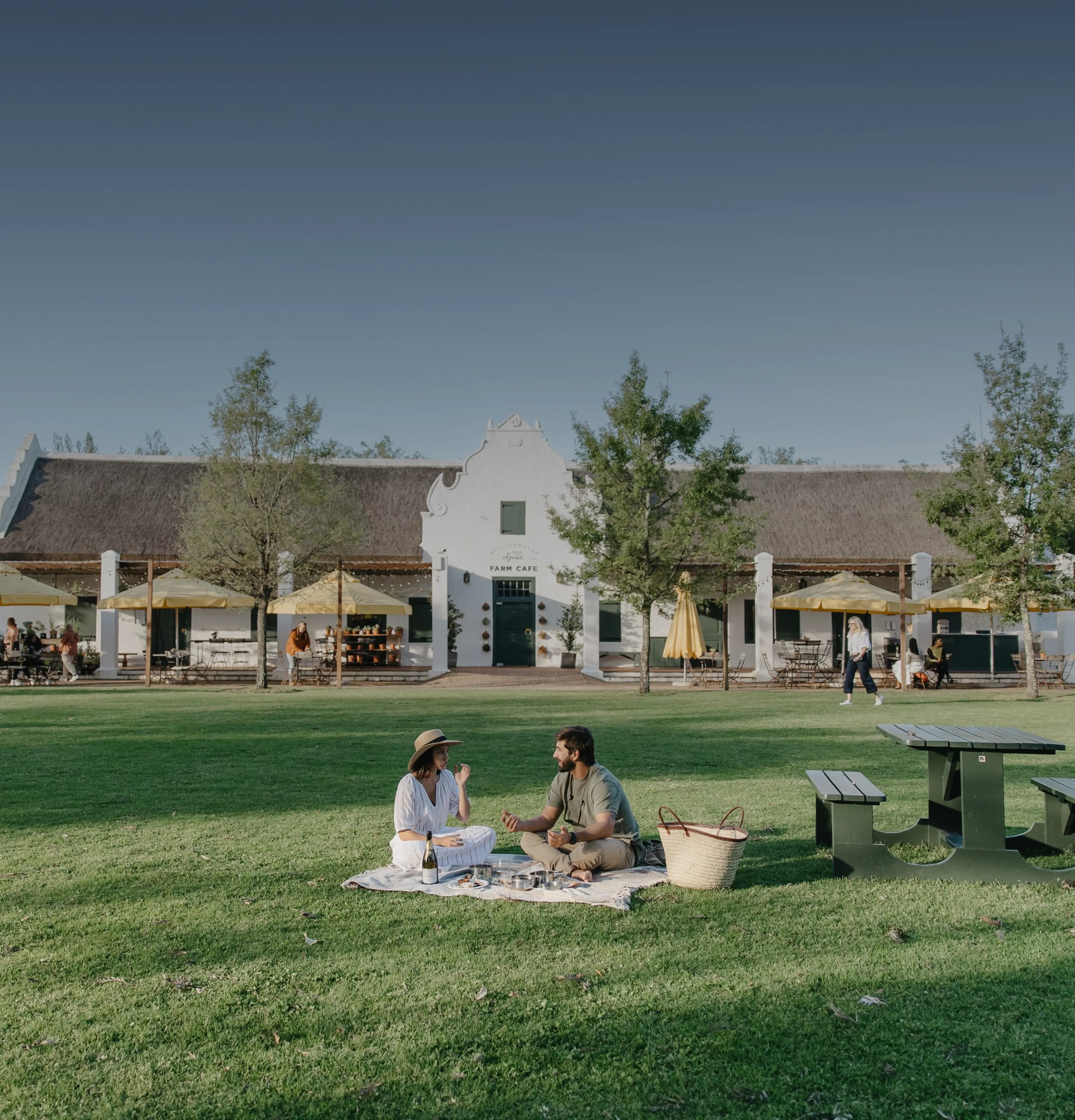 spier wine farm