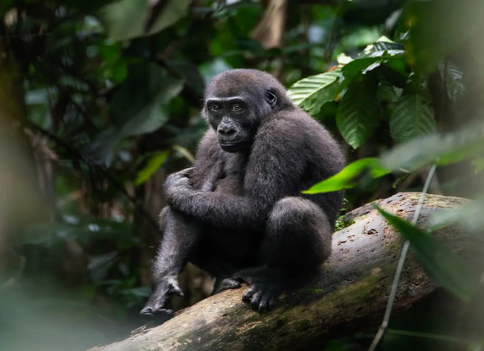 footer cta img2.webp