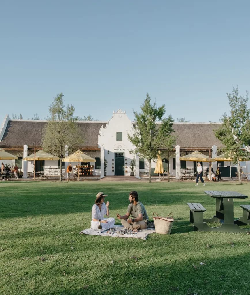 spier wine farm