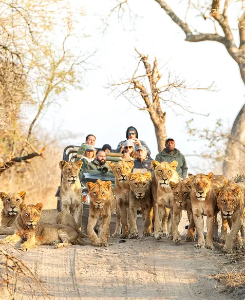 the royal portfolio – 2